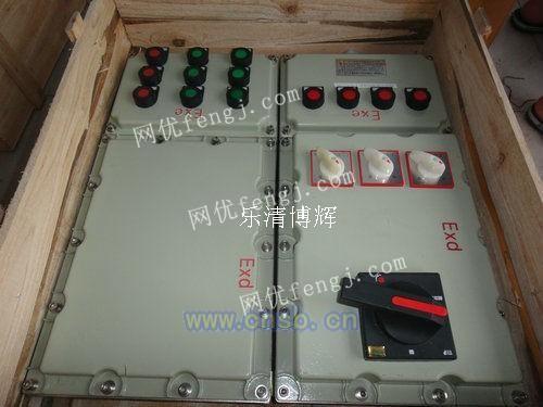 工業(yè)防爆配電箱,化工廠專用