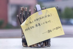 創(chuàng)意制作，一起開(kāi)開(kāi)腦洞