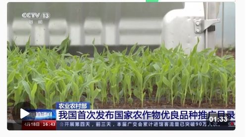 種業振興行動扎實推進，今年農作物種子供給充足保障糧食安全
