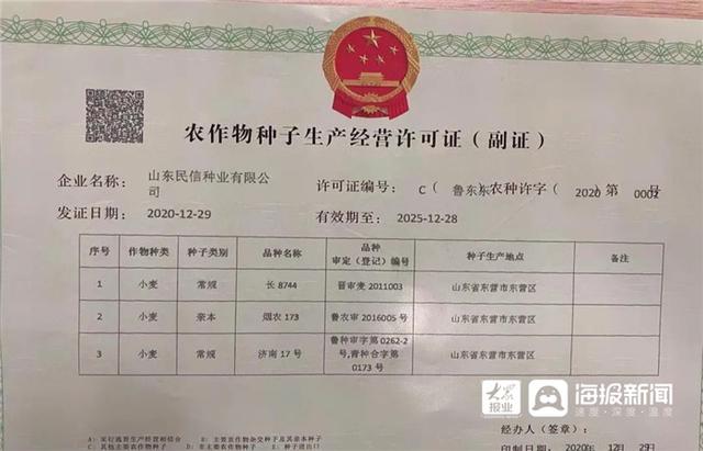 東營區核發首張農作物種子生產經營許可證 規范種業市場，護航農業生產